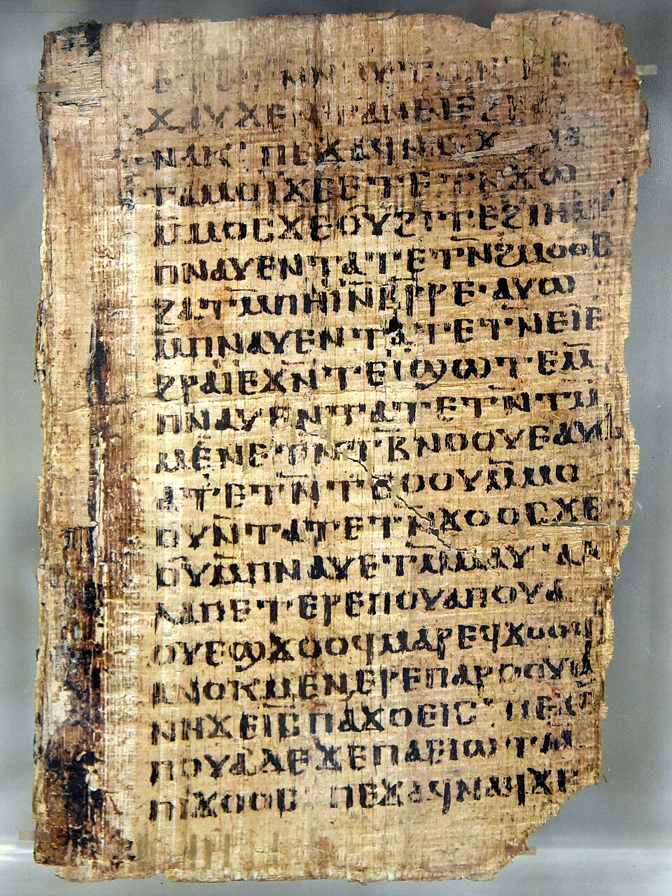Life of Shenoute papyrus, British Museum EA71005/6